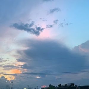 Meet your Posher, Belle